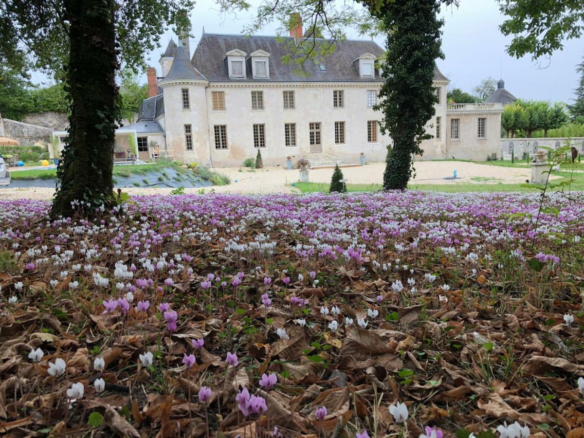 Domaine Plessis Gallu - Vacation Cottage Rental Azay-le-Rideau Exterior foto